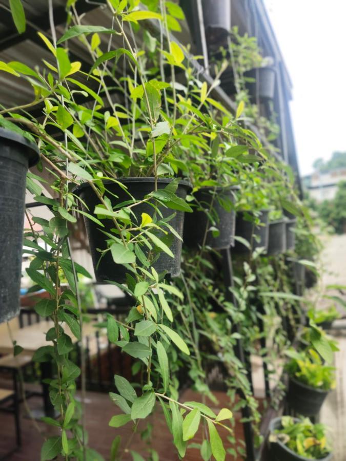 Auberge de jeunesse Nai Wiang Poshtel à Chiang Mai Extérieur photo